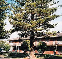 Eastern Beach Holiday Units - Surfers Gold Coast