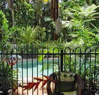 Daintree Rainforest Retreat Motel - Surfers Gold Coast