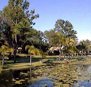 Twin Lakes Hotel - Surfers Gold Coast