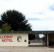 Millicent Motel - Surfers Gold Coast