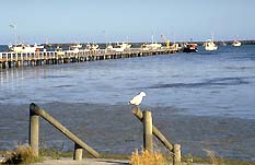 Seaview Motel And Holiday Units - Surfers Gold Coast 0