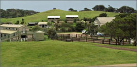 Ace Hi Riding Ranch - Surfers Gold Coast 0