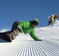 Snowbird Inn - Surfers Gold Coast