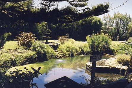 Bayside Gardens - Surfers Gold Coast