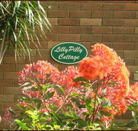 Lillypilly - Surfers Gold Coast