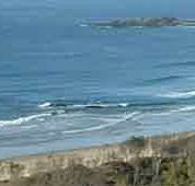 Beach Haven Apartments - Surfers Gold Coast