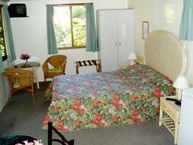 Kuranda Rainforest Accommodation Park - Surfers Gold Coast 2