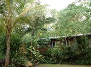 Kuranda Rainforest Accommodation Park - Surfers Gold Coast 3