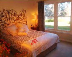 Edgelinks Bed And Breakfast - Surfers Gold Coast 4