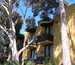 Pathfinder Motel - Surfers Gold Coast 1