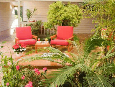 Adamsons Riverside Accommodation - Surfers Gold Coast 1