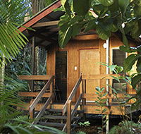 Cape Trib Beach House - Surfers Gold Coast