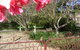 Dalebrook Guest House - thumb 0