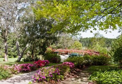 Bilpin Resort - Surfers Gold Coast 2