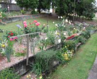 Kintail Homestay - Surfers Gold Coast 0