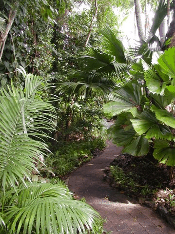 Rainforest Grove Holiday Resort - Surfers Gold Coast 1