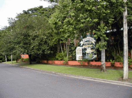 Rainforest Grove Holiday Resort - Surfers Gold Coast 2