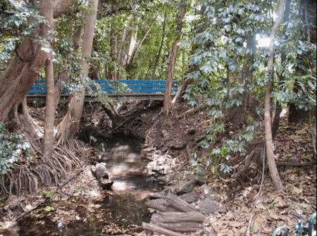 Rainforest Grove Holiday Resort - Surfers Gold Coast 3