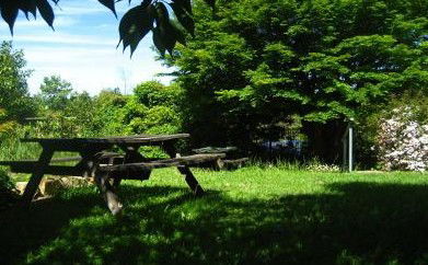 The Cecil Guest House - Surfers Gold Coast 5