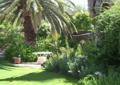 Nthaba Cottage - Surfers Gold Coast 0