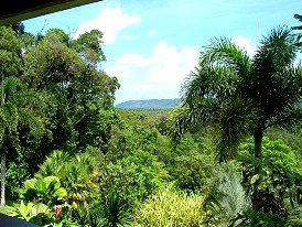 Daintree Manor - Surfers Gold Coast 3