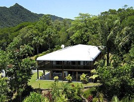 Daintree Manor - Surfers Gold Coast 4