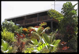 Daintree Manor - Surfers Gold Coast 5