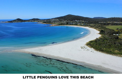 Diamond Island Resort - Surfers Gold Coast 5