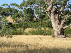 Wings Barossa Bird And Bush Retreat - Surfers Gold Coast 0