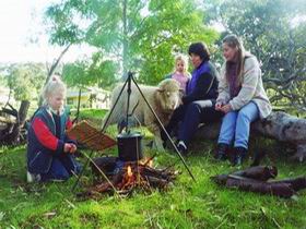 Sleepy Hollow Farm Cottage - Surfers Gold Coast 0