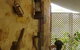 Liebelt House - thumb 1