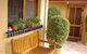 Stephanette's Cottage - thumb 3