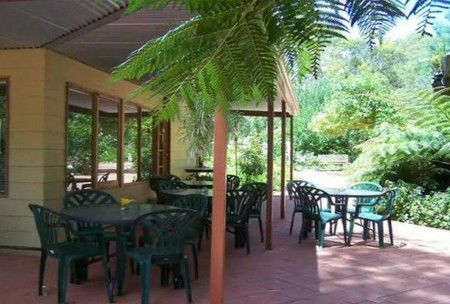 Rainforest Retreat - Surfers Gold Coast 1