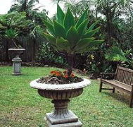 Bangalow Retreat - Surfers Gold Coast