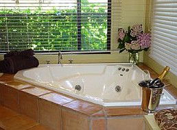 Treetops Bed & Breakfast - Surfers Gold Coast 1