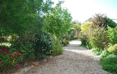 Springton Heritage Bed And Breakfast - Surfers Gold Coast 5