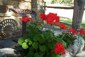 Adelaide Hills Country Cottages - Gum Tree Cottage - Surfers Gold Coast 3