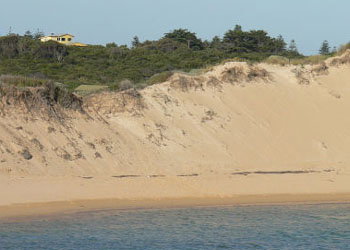 Ark Bed And Breakfast - Surfers Gold Coast 1