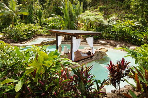 Misty Mountains Tropical Rainforest Romantic Retreat - Surfers Gold Coast 3