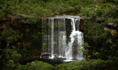 Haggerstone Island Guest House - Surfers Gold Coast 5