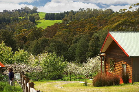Elvenhome Farm Cottage - Surfers Gold Coast 5