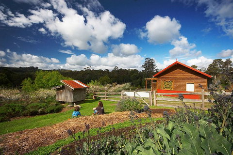 Elvenhome Farm Cottage - Surfers Gold Coast 6