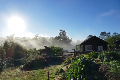 Elvenhome Farm Cottage - Surfers Gold Coast 9