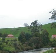Tin Dragon Trail Cottages - Surfers Gold Coast
