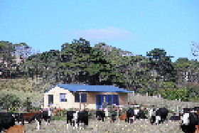Marrawah Beach House - Surfers Gold Coast 0