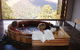 The Lodge At Tarraleah - thumb 0