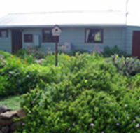 Engadine Cottage - Surfers Gold Coast