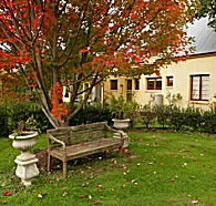Grandma's House - Surfers Gold Coast