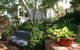 Topiary Haven - thumb 0