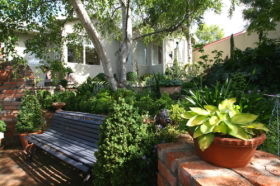 Topiary Haven - Surfers Gold Coast 0